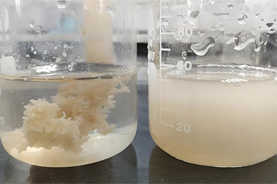 鑱氫笝鐑叞鑳哄湪閰掑粻寤㈡按铏曠悊涓殑閬稿瀷鍜屾晥鏋�